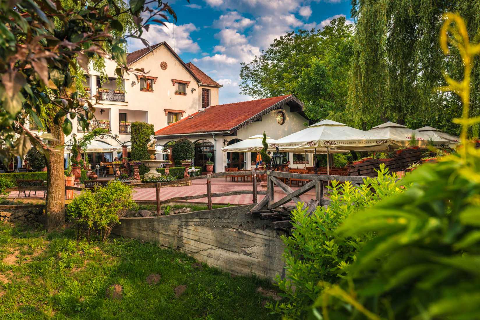 Sighișoara și Împrejurimi